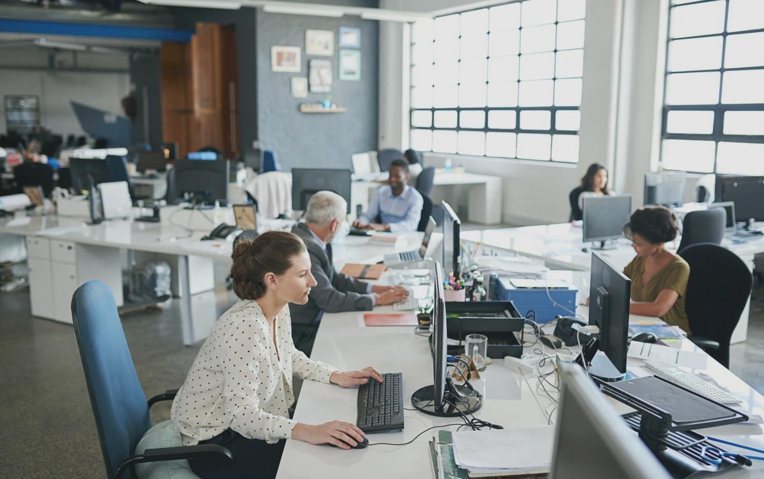 Participants reviewing a live SEO audit walkthrough